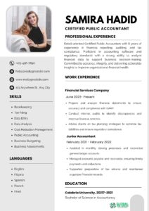 professional cv template for accountant